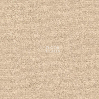 Ковролин Radici Abetone Polvere 4838 фото 1 | FLOORDEALER